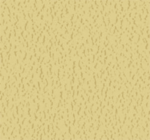 Parallel Grace Colors - Image 10