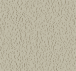 Parallel Grace Colors - Image 5