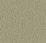 Parallel Grace Colors - Image 6