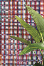 Extravaganza - Image 6