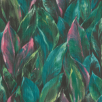 Curiosity B - Image 4