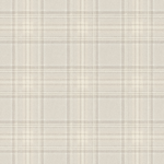 Curiosity C - Image 3