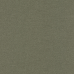 Curiosity F - Image 4