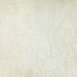 Borneo 3-1 - Image 7