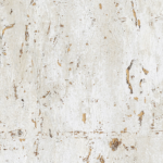 Antares 5 - Image 10