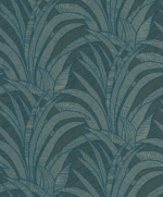 Tillandsia - Image 8