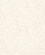 Tillandsia - Image 7