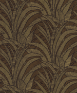 Tillandsia - Image 6