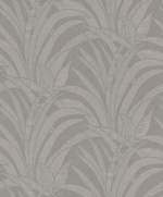 Tillandsia - Image 5