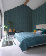 Tillandsia - Image 3